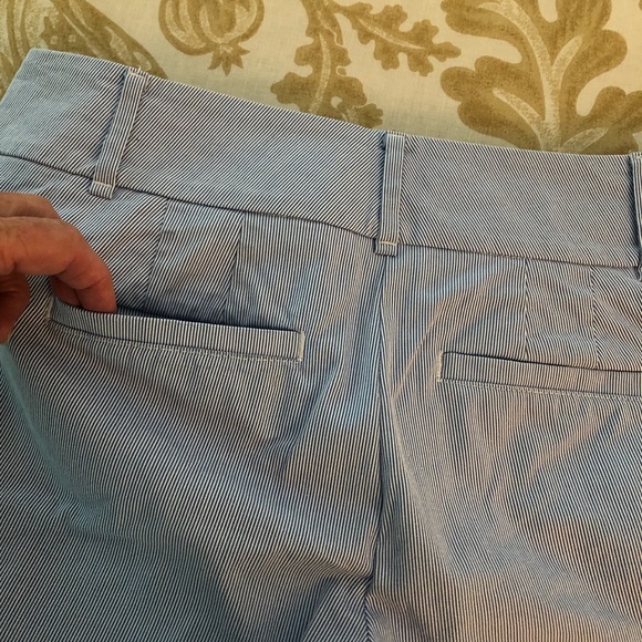 Loft Capris - Picture 5 of 10